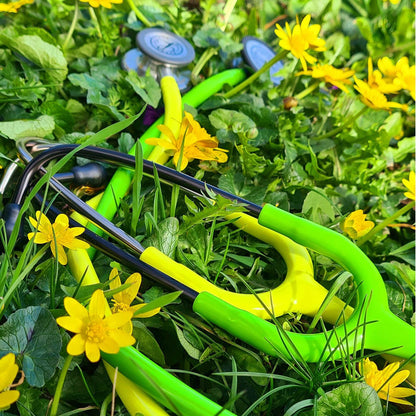Littmann Classic III Stethoscope: Lemon Lime 5839