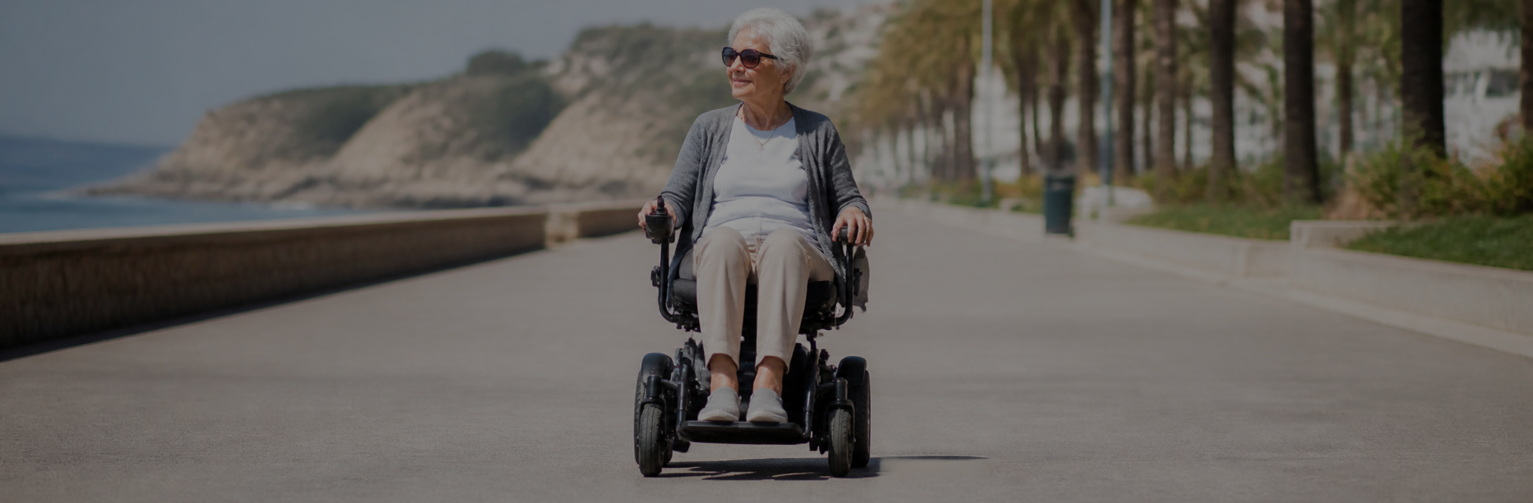 Power (Electric) Wheelchair Accessories