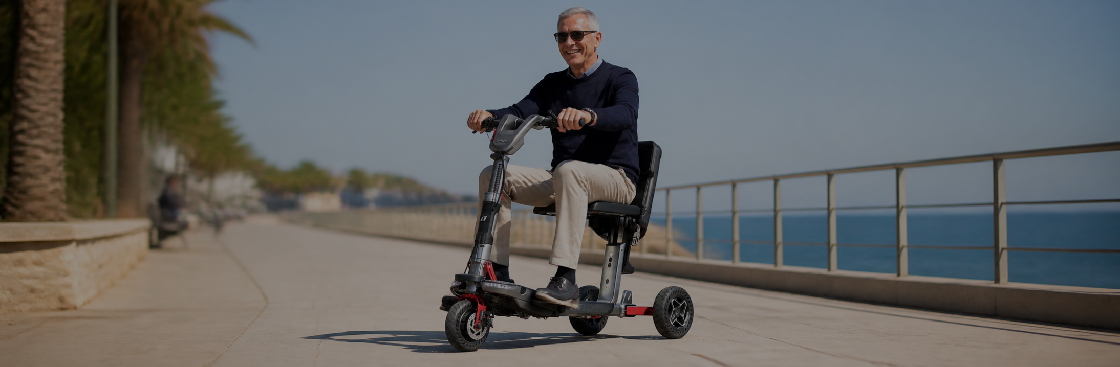 Scooter Accessories