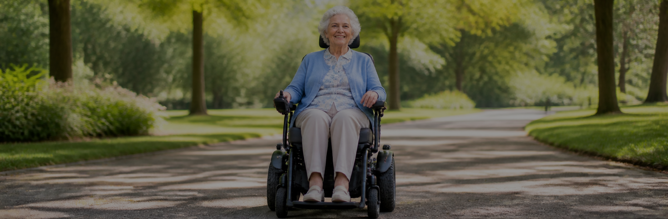 Wheelchair accessories