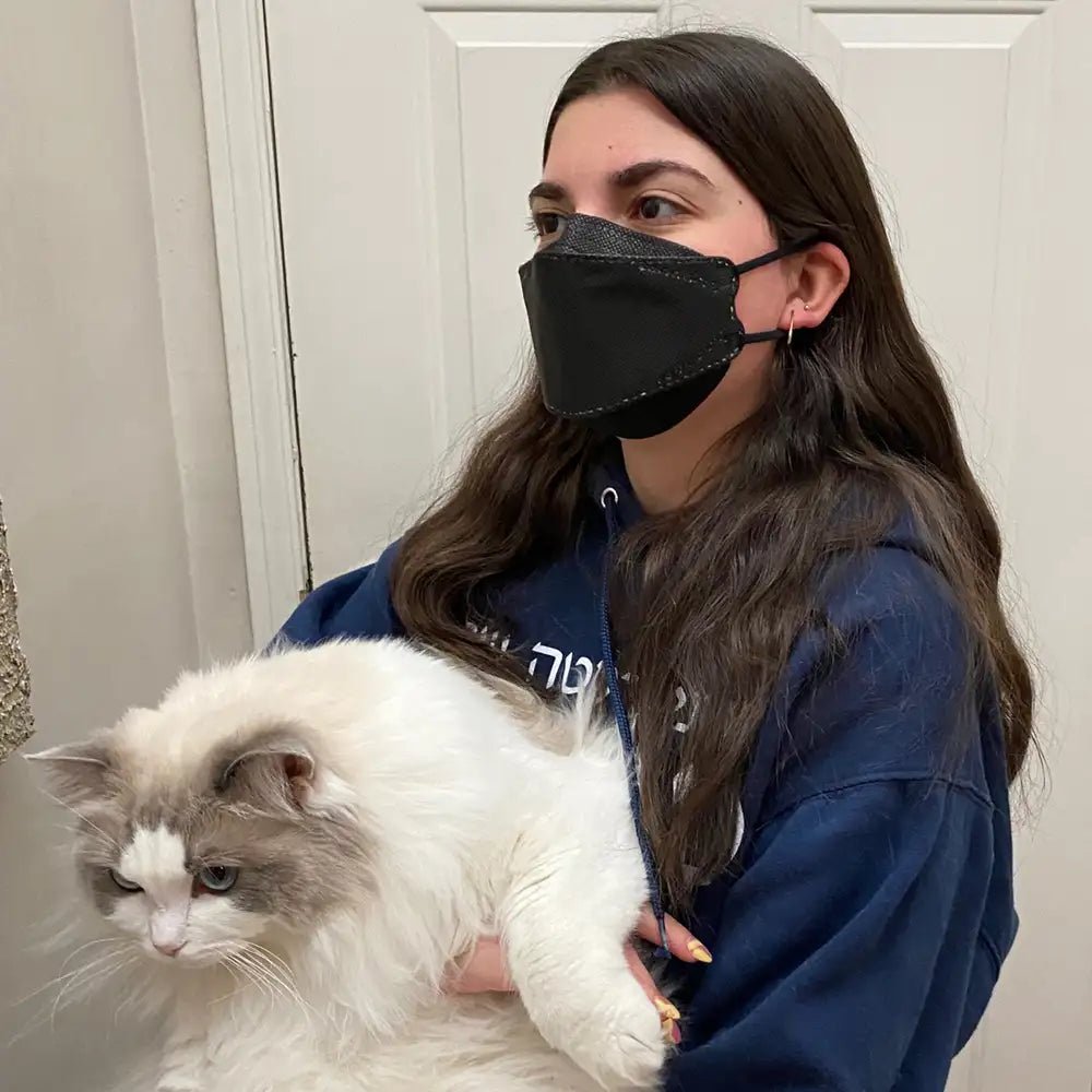 FN - N95 - 510 Respirator Mask - Box of 10 | Dentx - Factory Direct Medical