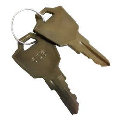 Replacement scooter keys